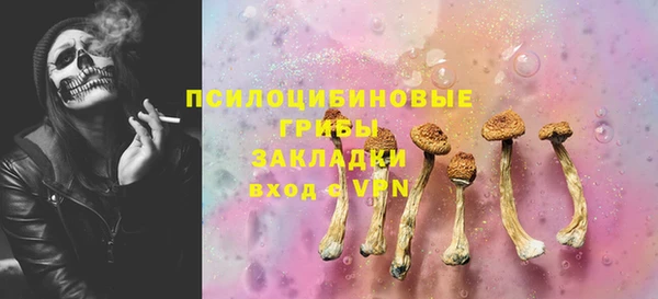 прущий лед Гусев