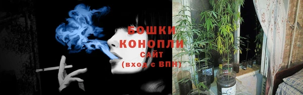 твердый Гусь-Хрустальный