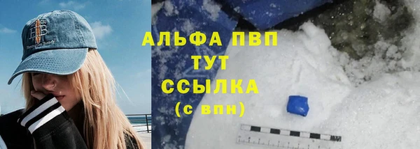 трава Гусиноозёрск
