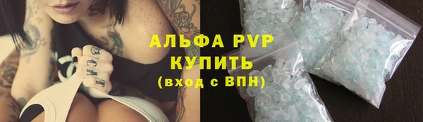 трава Гусиноозёрск