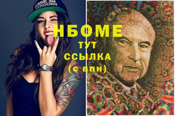 прущий лед Гусев