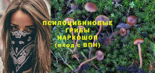 твердый Гусь-Хрустальный