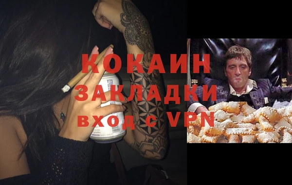 прущий лед Гусев