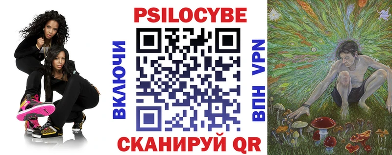 дарк нет телеграм  Отрадный  Псилоцибиновые грибы Psilocybe 