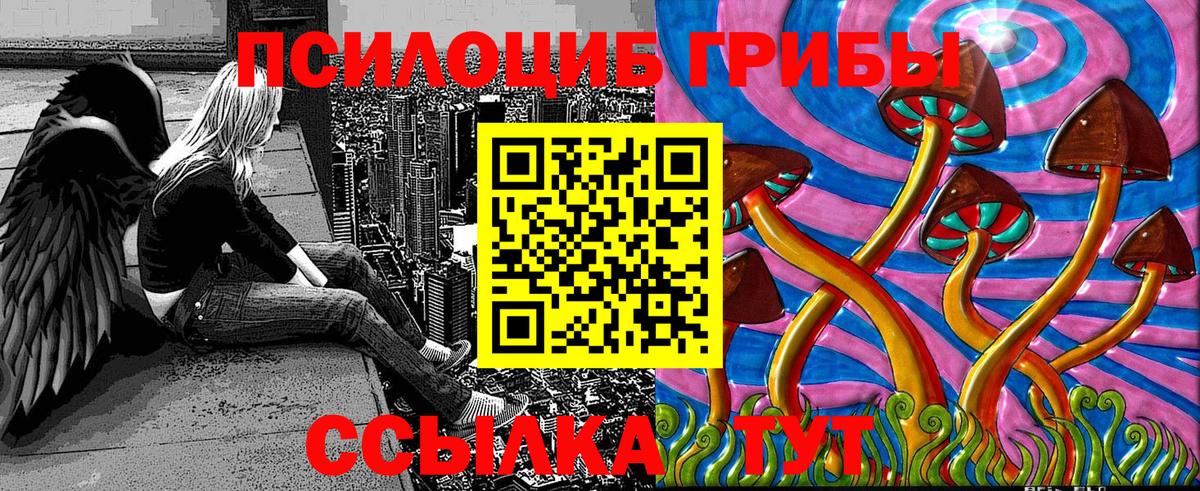 Отрадный  Псилоцибиновые грибы мицелий  Вход с VPN  Псилоцибиновые грибы GOLDEN TEACHER 