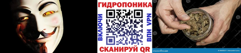 купить закладку  Отрадный  Шишки марихуана марихуана 