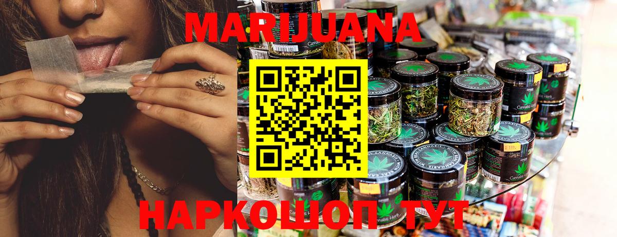 Канабис планчик Отрадный